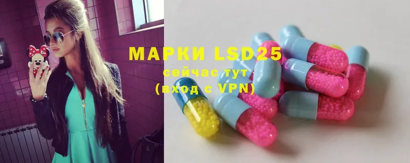 Лсд 25 экстази ecstasy  mega   Каргополь 