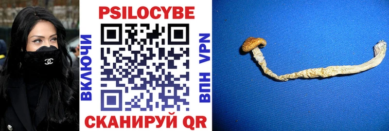 Галлюциногенные грибы ЛСД  Каргополь 